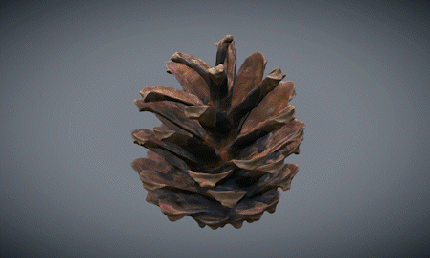 3D Project Scans