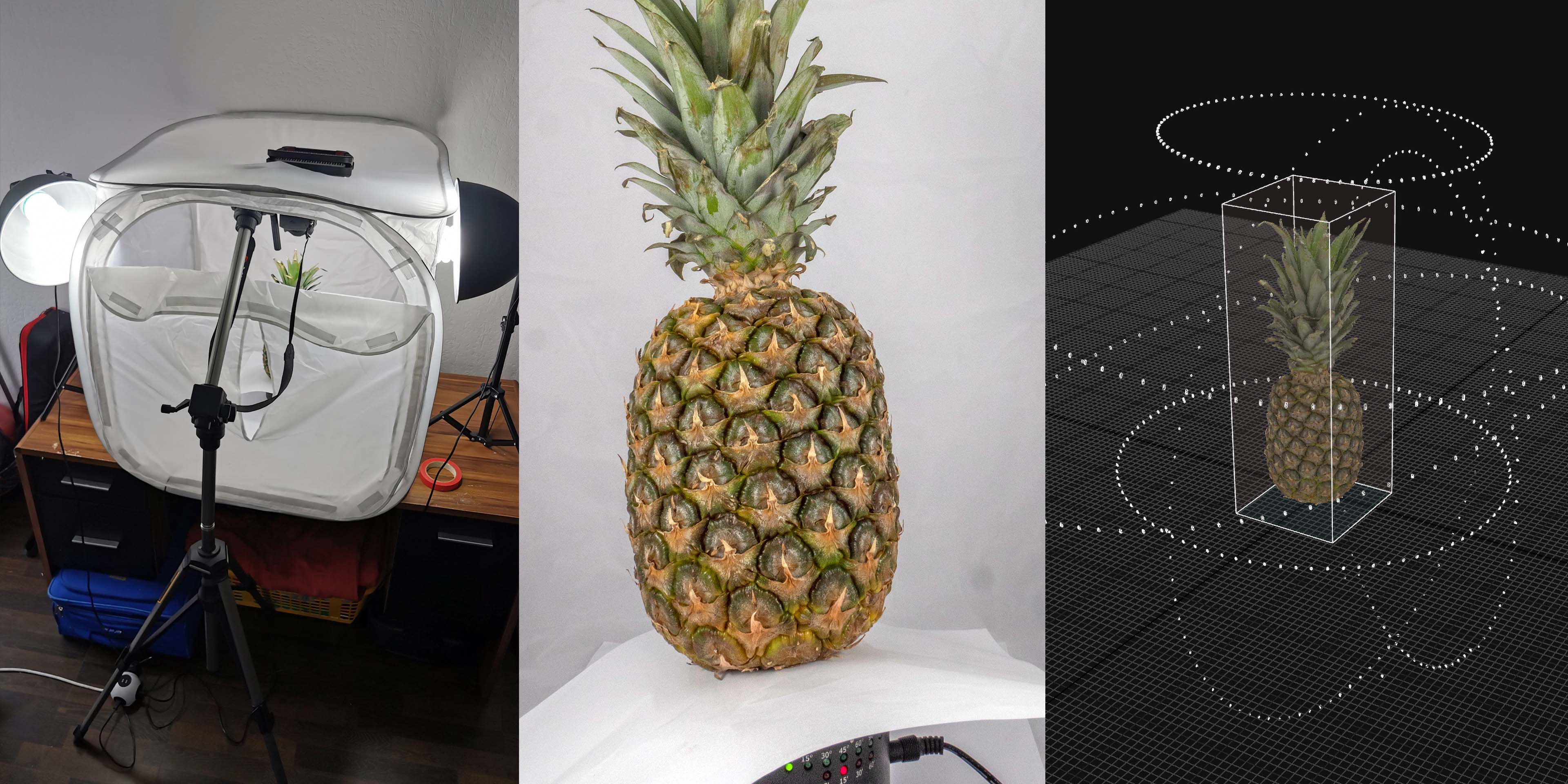 pineapple scan